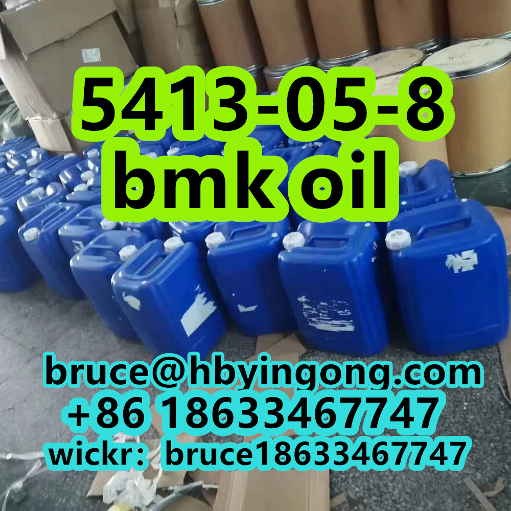 99% CAS 5413-05-8 ETHYL 2-PHENYLACETOACETATE BMK Oil Bmk Glycidate Oil รูปที่ 7