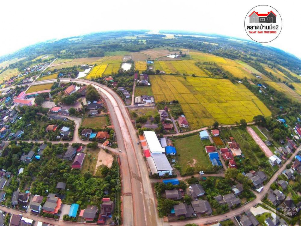 ขาย ที่ดิน ที่ดินเปล่าแปลงสวยน่าจับจอง ต.หย่วน 4 ไร่ รูปที่ 6