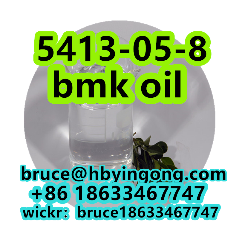 99% CAS 5413-05-8 ETHYL 2-PHENYLACETOACETATE BMK Oil Bmk Glycidate Oil รูปที่ 6