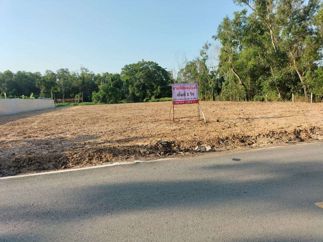 ขาย ที่ดิน ถมแล้วสูงกว่าถนน ที่ดินคลองห้า ใกล้เทคโนธานี 398 ตร.วา รอบข้างกำลังสร้างบ้าน สำนักงาน รูปที่ 2