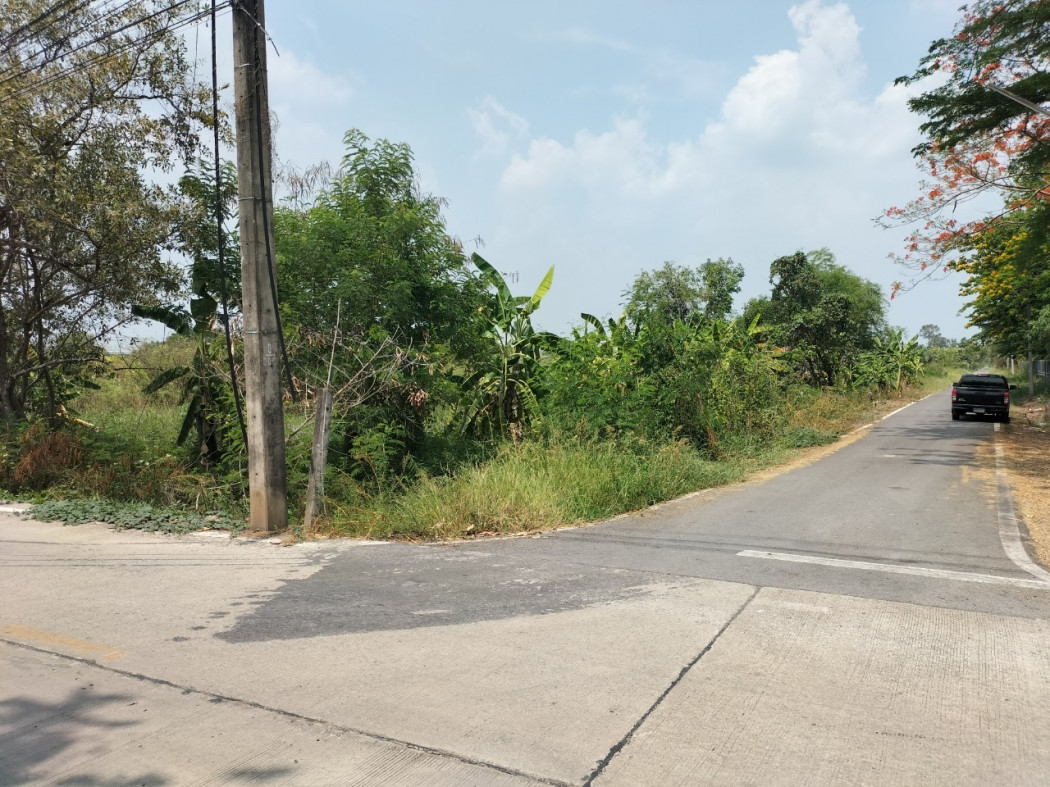 ขาย ที่ดิน ที่ดินถมแล้ว ถมนานแล้ว ที่ดินเปล่าคลองหกตะวันออก28 4 ไร่ 82 ตร.วา ใกล้จัดสรร คอนโด เชเว่น หอพักนักศึกษา รูปที่ 4