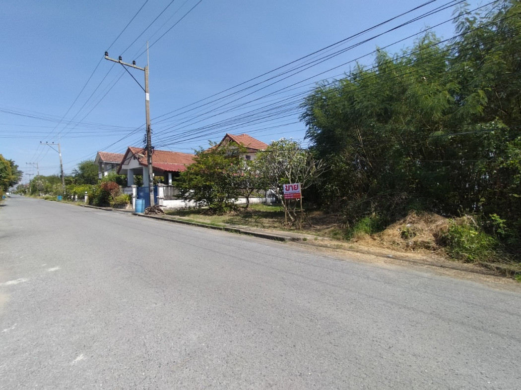 ขาย ที่ดิน ที่ดินจัดสรร ที่ดินเปล่าโครงการ4 หมู่บ้านร่มรื่นการ์เด้นวิล 82.7 ตร.วา ตรงชอยโครงการ รูปที่ 11