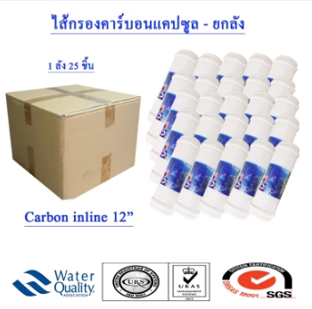 ไส้กรองน้ำ Post Carbon ยกลัง แคปซูล 12 นิ้ว x 2.5 นิ้ว รูปที่ 1