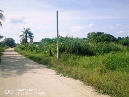 ขาย ที่ดิน ติดถนน ใกล้แหล่งน้ำ 2 ไร่ 42 ตร.วา นครชัยศรี นครปฐม รูปที่ 11