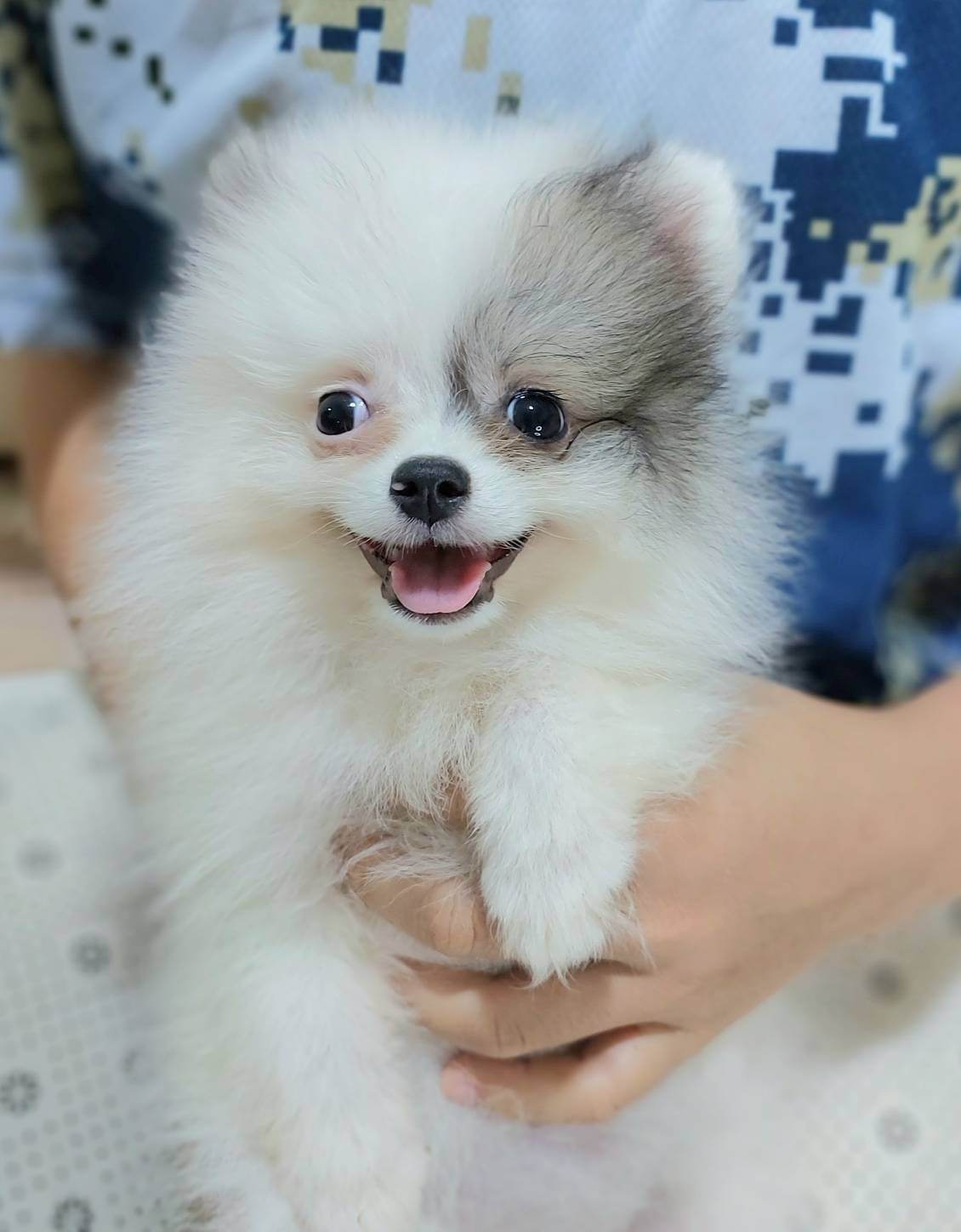 ปอม รูปที่ 6