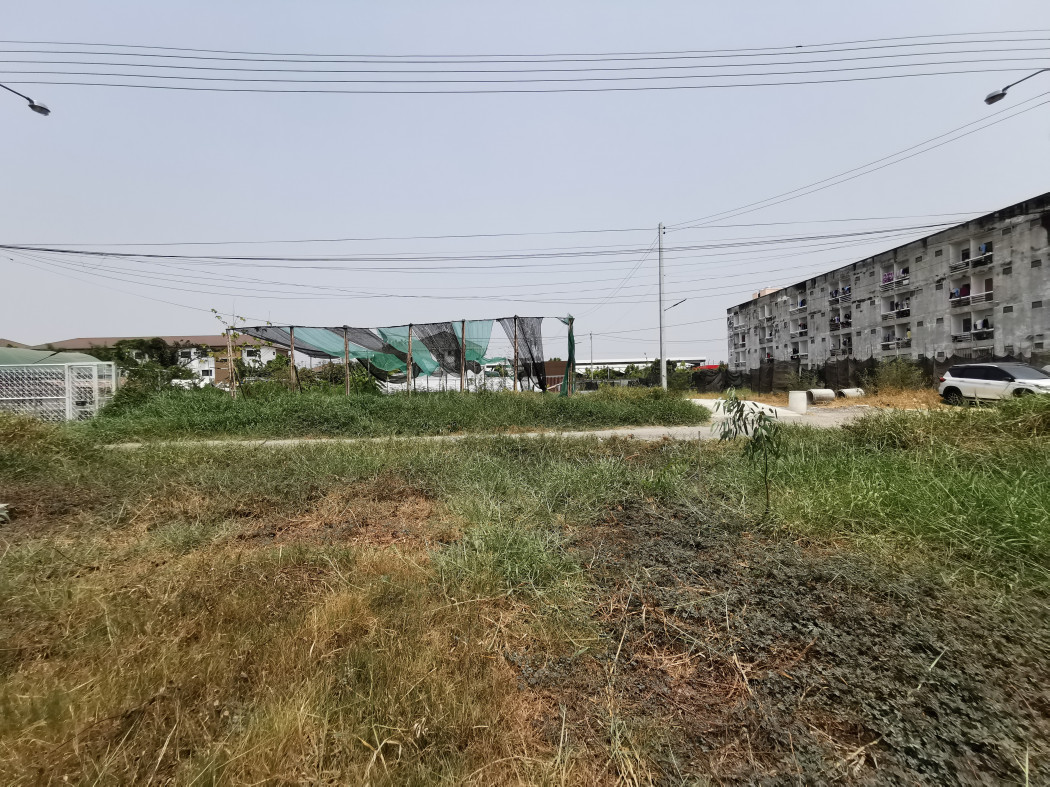 ขาย ที่ดิน ที่ดินโซนสุวรรณภูมิในพื้นที่เศรษฐกิจเขตลาดกระบัง - 1 ไร่ รูปที่ 3