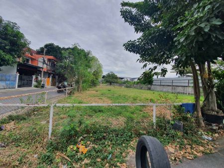 ขาย ที่ดิน แปลงมุม ที่ดินดอนเมือง 100.2 ตร.วา อยู่ทรงประภา9. รูปที่ 8