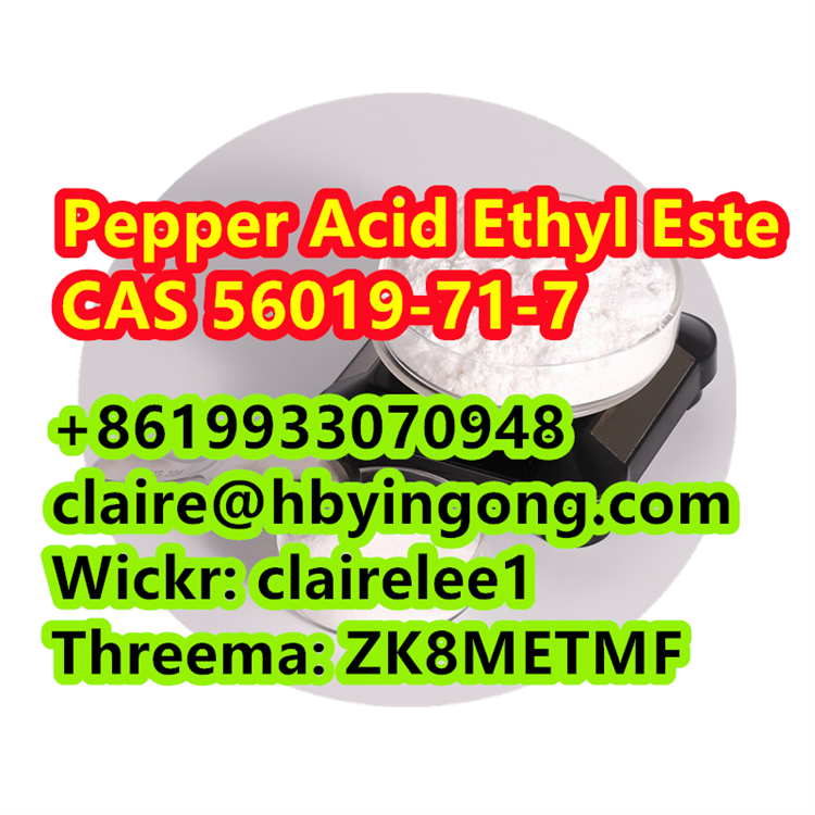 Factory Supply Pepper Acid Ethyl Este CAS 56019-71-7 รูปที่ 6