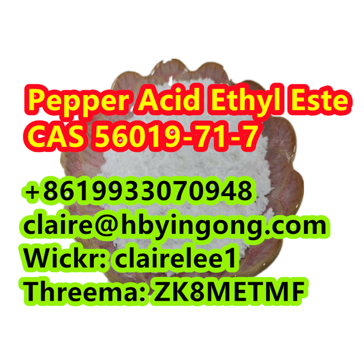 Factory Supply Pepper Acid Ethyl Este CAS 56019-71-7 รูปที่ 1