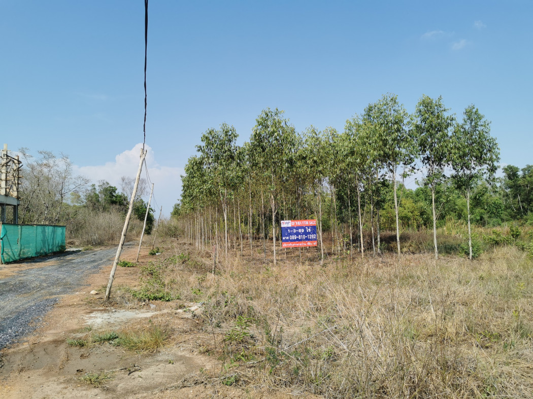 ขาย ที่ดิน ที่ดินในโครงการสนามกอล์ฟพื้นที่ เป็นพื้นที่ Eec ปิดถนนสายหลัก - 1 ไร่ 3 งาน 89 ตร.วา รูปที่ 2