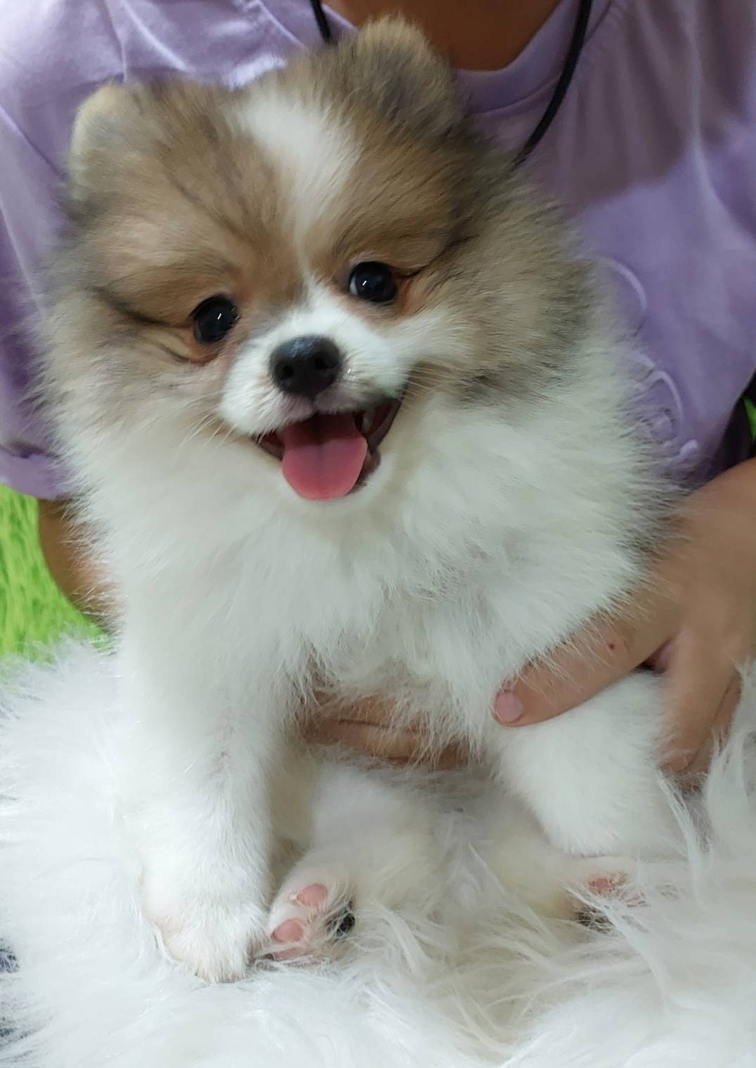 ปอม รูปที่ 6