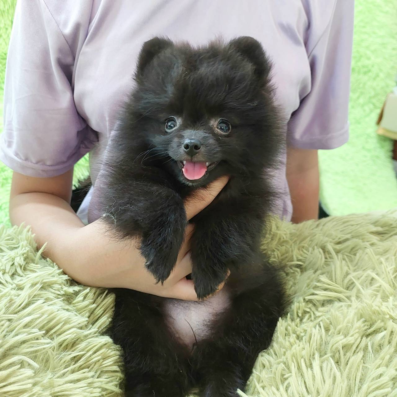 ปอม รูปที่ 3