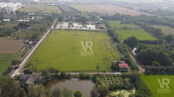 ขายที่ดินพร้อมสิ่งปลูกสร้าง  บางบัวทอง นนทบุรี พื้นที่รวม 20-3-17 ไร่ ที่ดินสวยมาก ติดถนนสาธารณะ รูปที่ 5