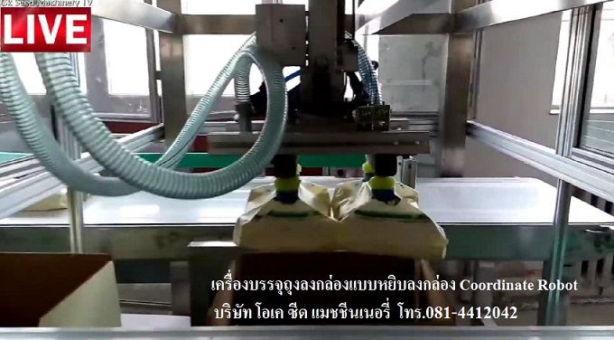 ขายเครื่องบรรจุสินค้าลงกล่องแบบหยิบลงกล่อง Cordinated Robot Packing Machine 0814412042 รูปที่ 1