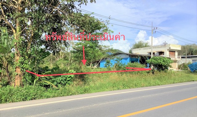 ขายที่ดินว่างเปล่า   อำเภอบางขัน   นครศรีธรรมราช (PKK01-10721) รูปที่ 1