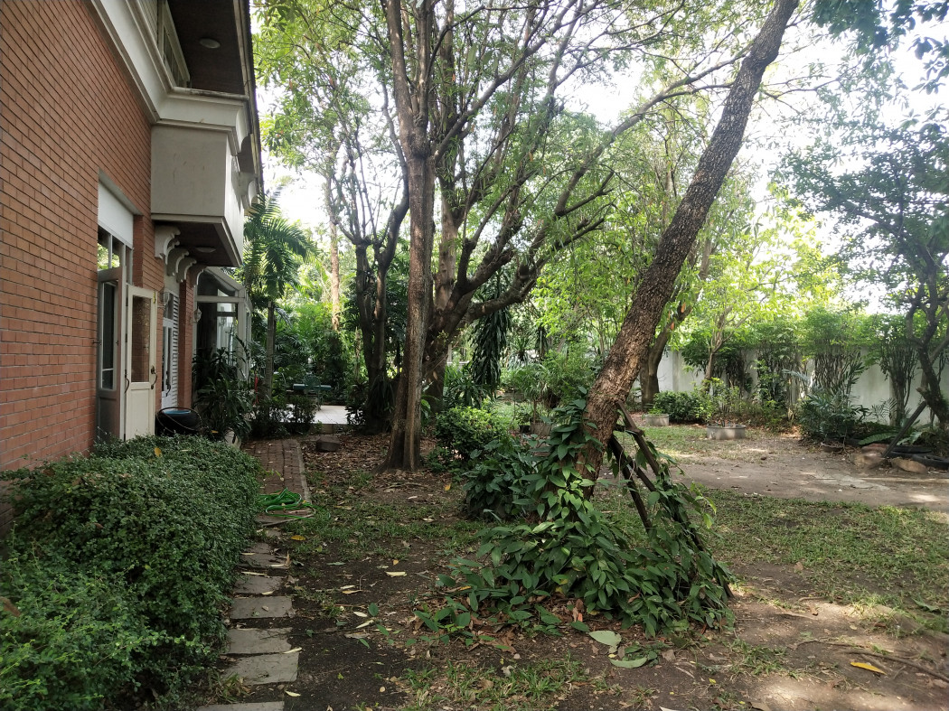 ขาย บ้านเดี่ยว ติดถนนสุขสวัสดิ์ 30 - 750 ตรม. 1 ไร่ 51.5 ตร.วา รูปที่ 3