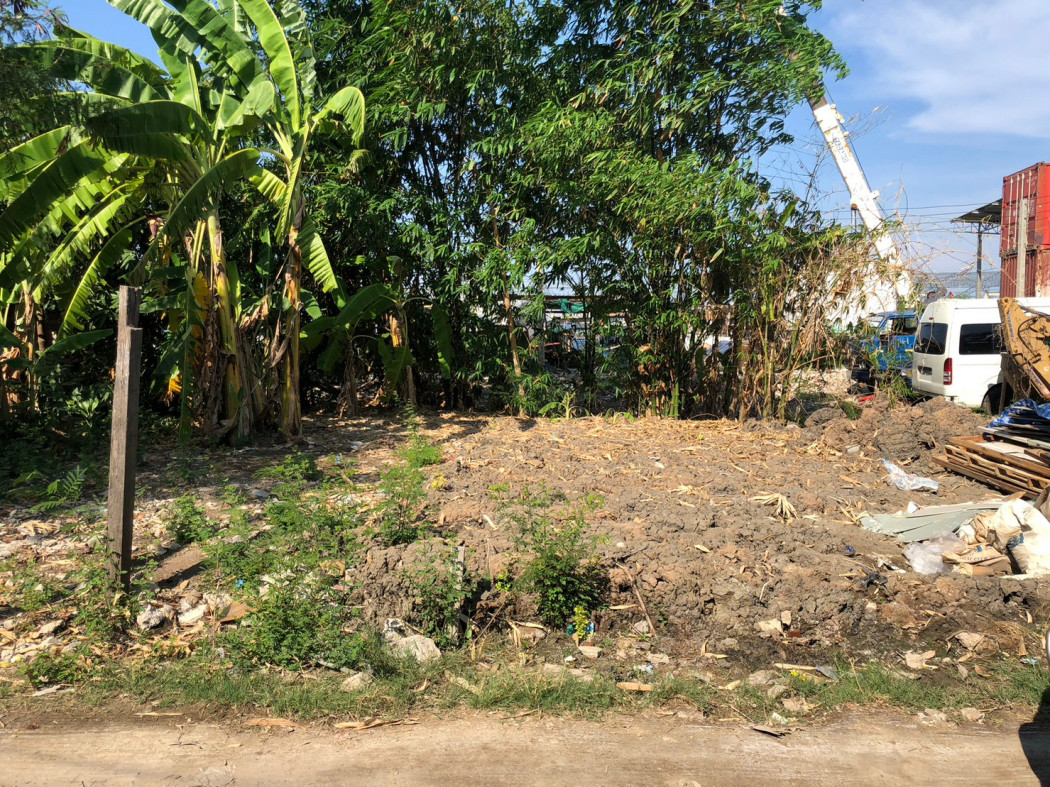 ขาย ที่ดิน ที่สวย ราคาถูก ใกล้ วัดบัวผัน บางขุนเทียน - 75 ตร.วา รูปที่ 4