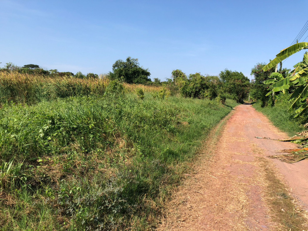 ขาย ที่ดิน วัดบัวผัน บางขุนเทียน - 1 ไร่ 51.5 ตร.วา รูปที่ 3