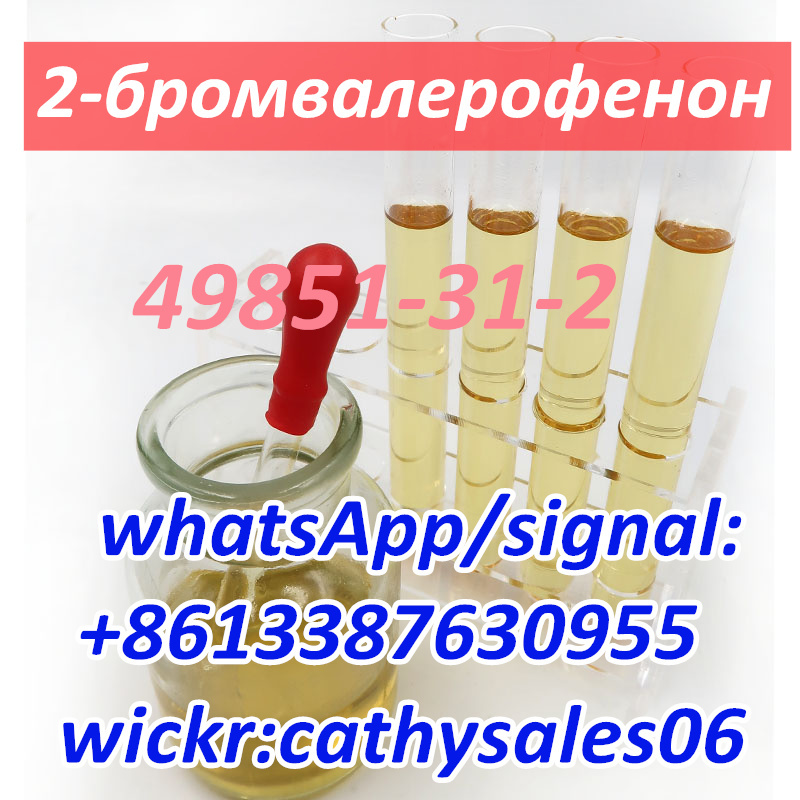 CAS 49851-31-2 2-Bromovalerophenone CAS 49851 31 2 China Reliable Supplier รูปที่ 3