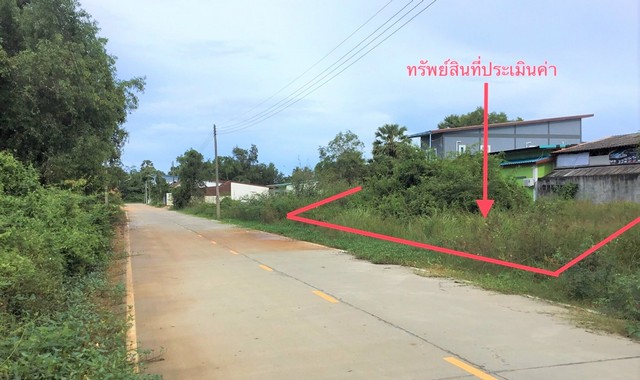 ขายที่ดินว่างเปล่า  อำเภอสิงหนคร  สงขลา (PKK01-10781) รูปที่ 1