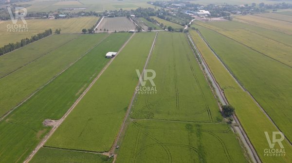 ขายที่ดินแปลงใหญ่ บางเลน นครปฐม พื้นที่รวม 53-2-60 ไร่ อากาศบริสุทธิ์ ลมพัดเย็นสบาย แวดล้อมไปด้วยท้องนา รูปที่ 5