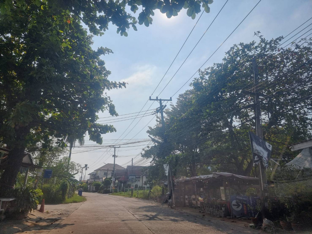 ขายที่ดินเหมือง 1 ไร่ ตัวเมืองชลบุรี ติดถนนซอยเทศบาลพัฒนา 1 ใกล้หาดวอนนภา - 3 กม. จ.ชลบุรี รูปที่ 1
