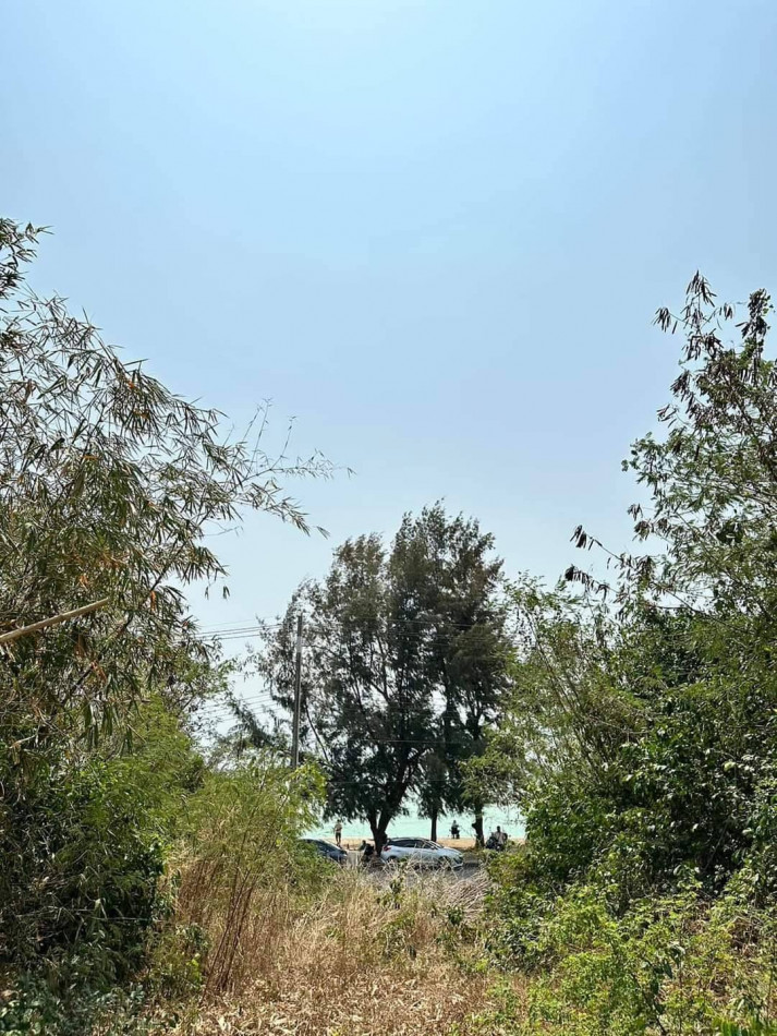 ขายที่ดินบ้านฉางทำเลดีวิวสวยๆเหมาะปลูกบ้าน 1 ไร่ ใกล้หาดน้ำรินเพียง 80 เมตร ซอยพยูง จ.ระยอง รูปที่ 3