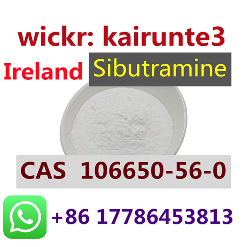 CAS 106650-56-0 powder Sibutramine Ireland Netherlands kairunte3 free shipping รูปที่ 1