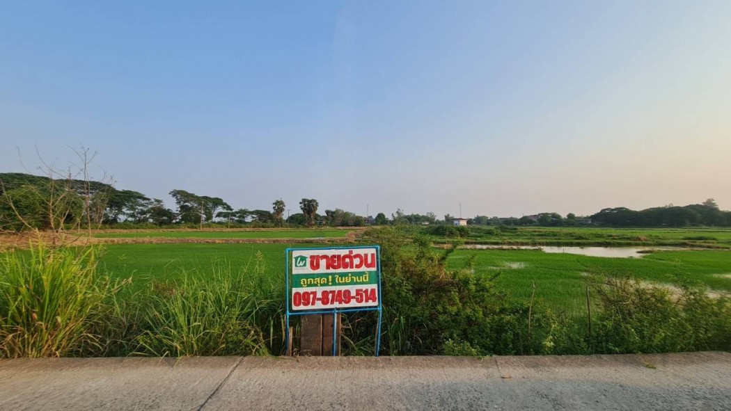 ขายที่ดินติดถนน ใกล้ป้อมตำรวจชุมชนกุฎี  อ.ผักไห่ พระนครศรีอยุธยา รูปที่ 1