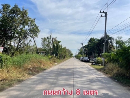 ขาย ที่ดิน ที่สี่เหลี่ยมผืนผ้า ติดถนนหลัก ที่ดิน รังสิต-นครนายก คลอง6 ถนนคลองหกตะวันออก58 คลองหลวง ปทุมธานี 2 ไร่ 44 ตร.วา ถนนคอนกรีต รูปที่ 3