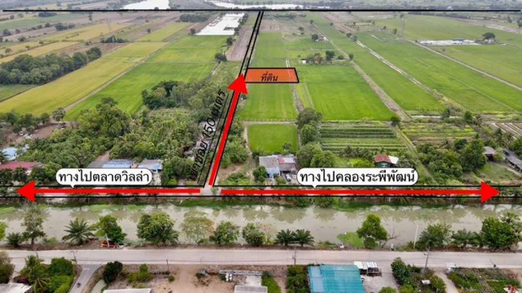 ขายที่ดินบึงชำอ้อ 1 ไร่ ถมแล้ว คลอง 8 เหมา 1.47 ล้านบาท ใกล้ถนนเส้น 1043 - 2.3 กม. อ.หนองเสือ จ.ปทุมธานี รูปที่ 3