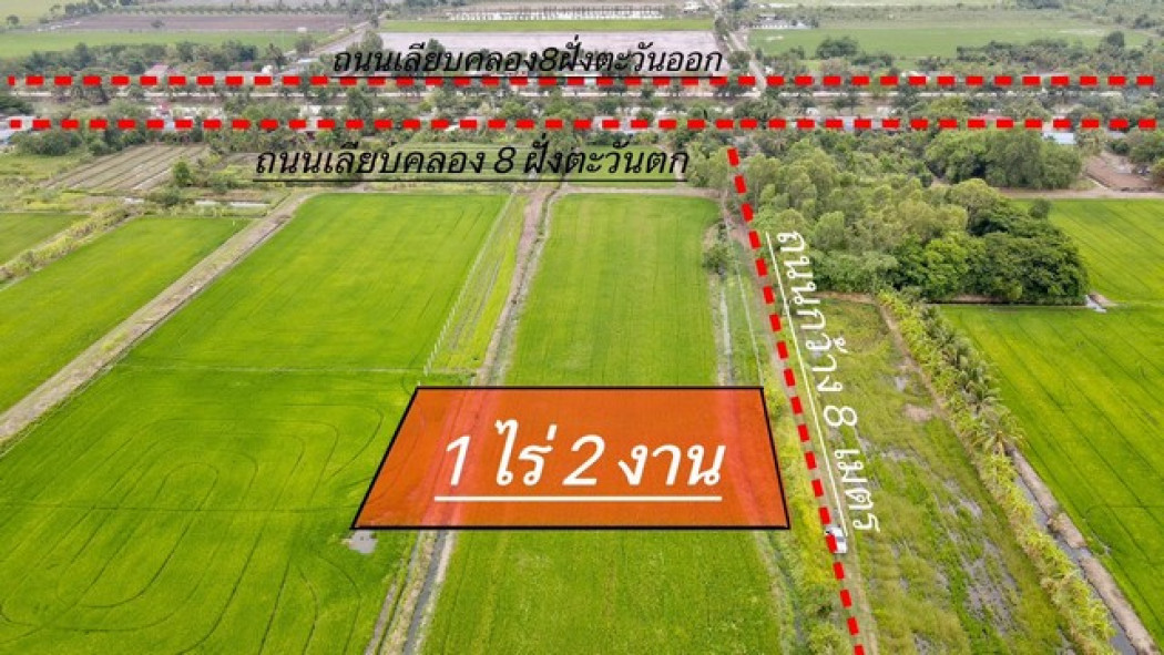 ขายที่ดินบึงชำอ้อ 1 ไร่ ถมแล้ว คลอง 8 เหมา 1.47 ล้านบาท ใกล้ถนนเส้น 1043 - 2.3 กม. อ.หนองเสือ จ.ปทุมธานี รูปที่ 2