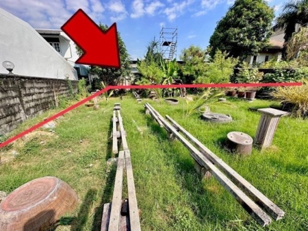 ขาย ที่ดิน ทำเลดีในถนนสุขุทวิท77 ที่ดิน อ่อนนุช14 191 ตร.วา สาธารณูปโภคครบ ท่อระบายน้ำรางวี รูปที่ 6