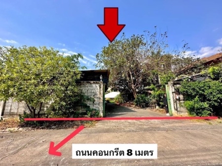 ขาย ที่ดิน ทำเลดีในถนนสุขุทวิท77 ที่ดิน อ่อนนุช14 191 ตร.วา สาธารณูปโภคครบ ท่อระบายน้ำรางวี รูปที่ 5