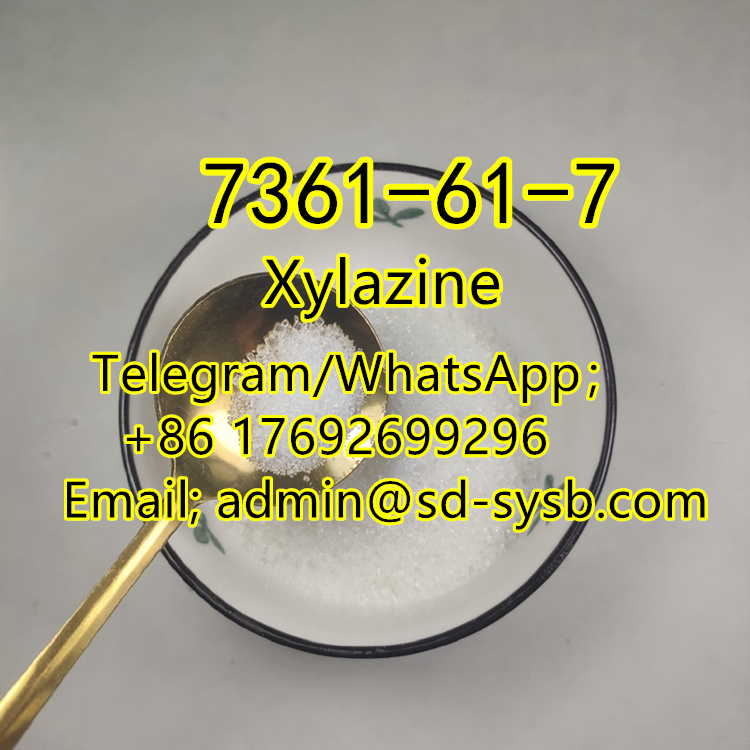  Good quality and good price   99 CAS:7361-61-7 Xylazine รูปที่ 1