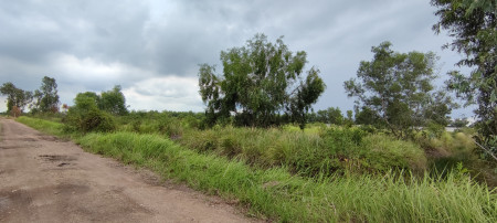 ขาย ที่ดิน 2 ไร่ คลอง 14 หนองเสือ ปทุมธานี ใกล้ถนนเลียบคลอง 14 และห่าง ถ.รังสิต-นครนายก 7 กม. เจ้าของขายเอง รูปที่ 1