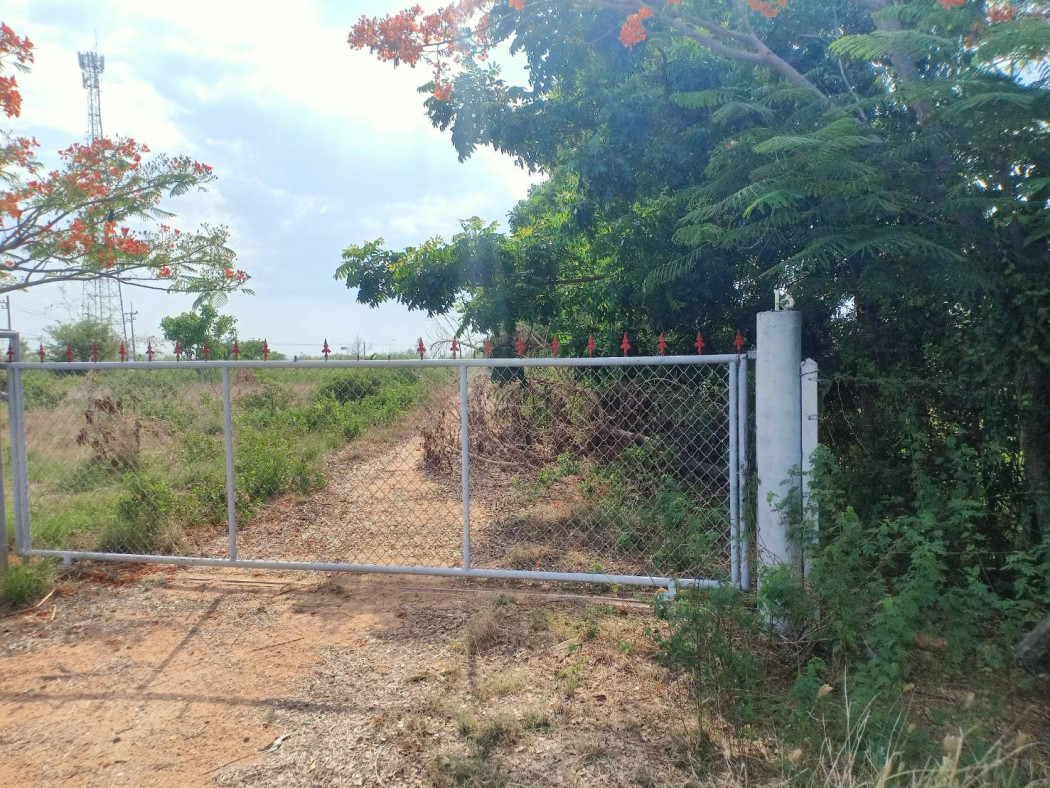 ขาย ที่ดิน ติดถนน น้ำไฟพร้อม ใกล้ทะเล ชะอำ เพชรบุรี รูปที่ 1