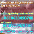 CAS.119276-01-6   Protonitazene (hydrochloride)