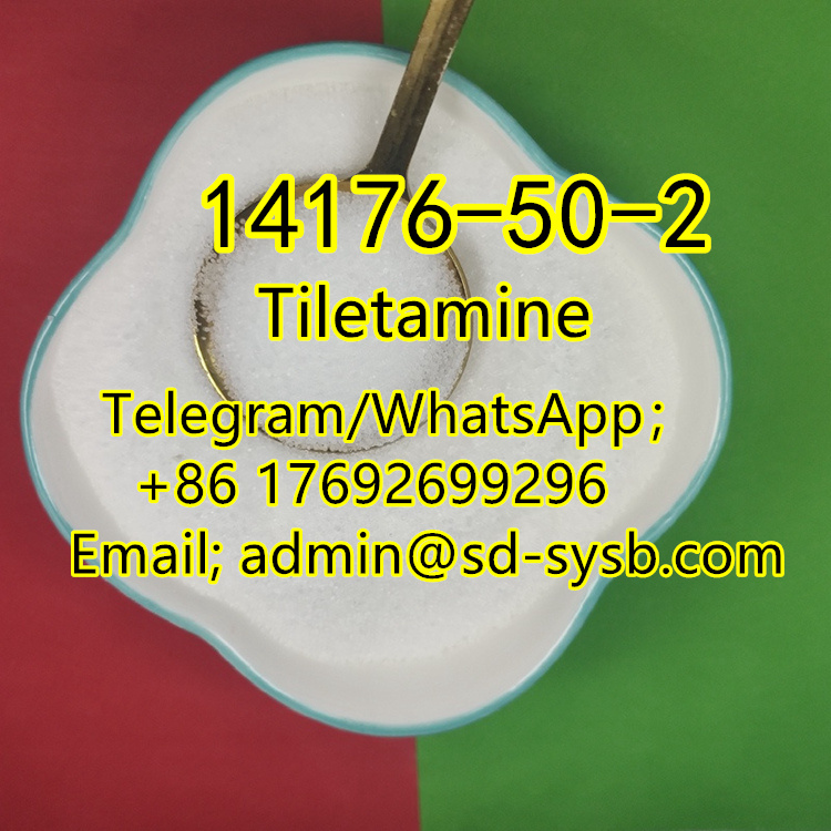  Good quality and good price   101 CAS:14176-50-2 Tiletamine รูปที่ 1