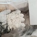 รูปย่อ powder in stock for sale  powder in stock for sale   75 A  28578-16-7 PMK ethyl glycidate รูปที่4