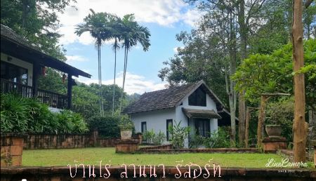 ขาย ที่ดิน เนินเขา วิวสวย ใกล้ทางหลวง เชียงใหม่-ปาย 17 ไร่ 2 งาน 50 ตร.วา อ. แม่แตง เชียงใหม่ รูปที่ 6