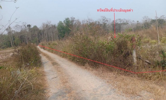 ขายที่ดินว่างเปล่า      อำเภอสอง แพร่ (PKK01-11601) รูปที่ 1