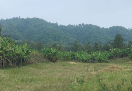 ขาย ที่ดิน เนินเขา วิวสวย ใกล้ทางหลวง เชียงใหม่-ปาย 17 ไร่ 2 งาน 50 ตร.วา อ. แม่แตง เชียงใหม่ รูปที่ 3