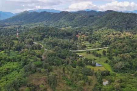 ขาย ที่ดิน เนินเขา วิวสวย ใกล้ทางหลวง เชียงใหม่-ปาย 17 ไร่ 2 งาน 50 ตร.วา อ. แม่แตง เชียงใหม่ รูปที่ 4