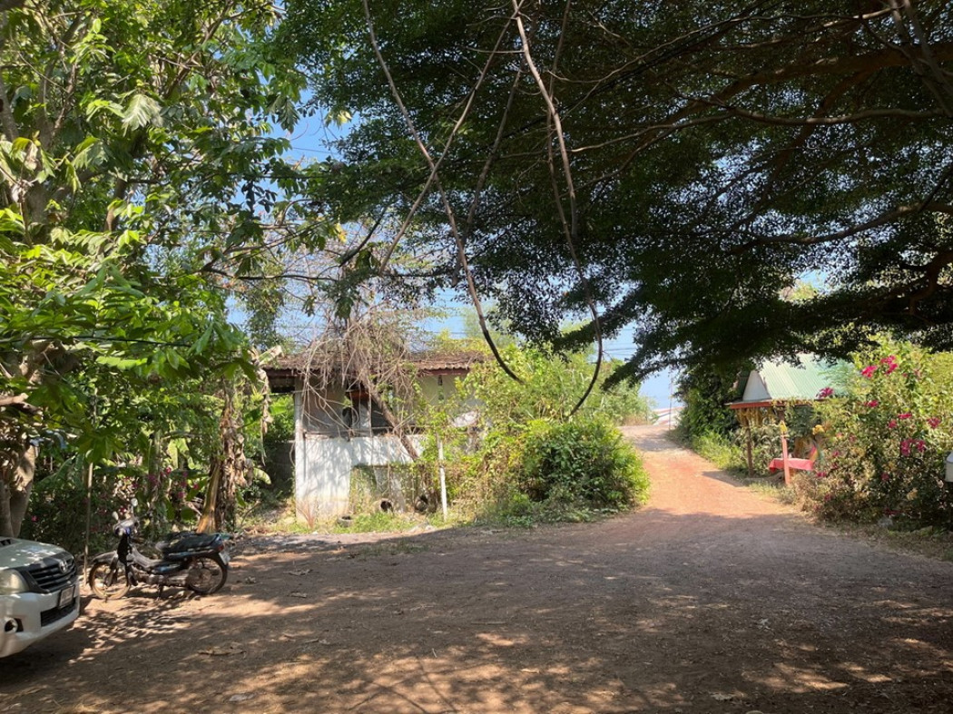 ขาย ที่ดิน พร้อมบ้าน คลองข่อย อำเภอโพธาราม ราชบุรี 2 งาน 82.6 ตร.วา เหมาะสำหรับผู้ลงทุนทำไร่พืชส่งออก ทำฟาร์มเลี้ยงสัตว์ แบ่งแปลงทำบ้านได้ รูปที่ 5