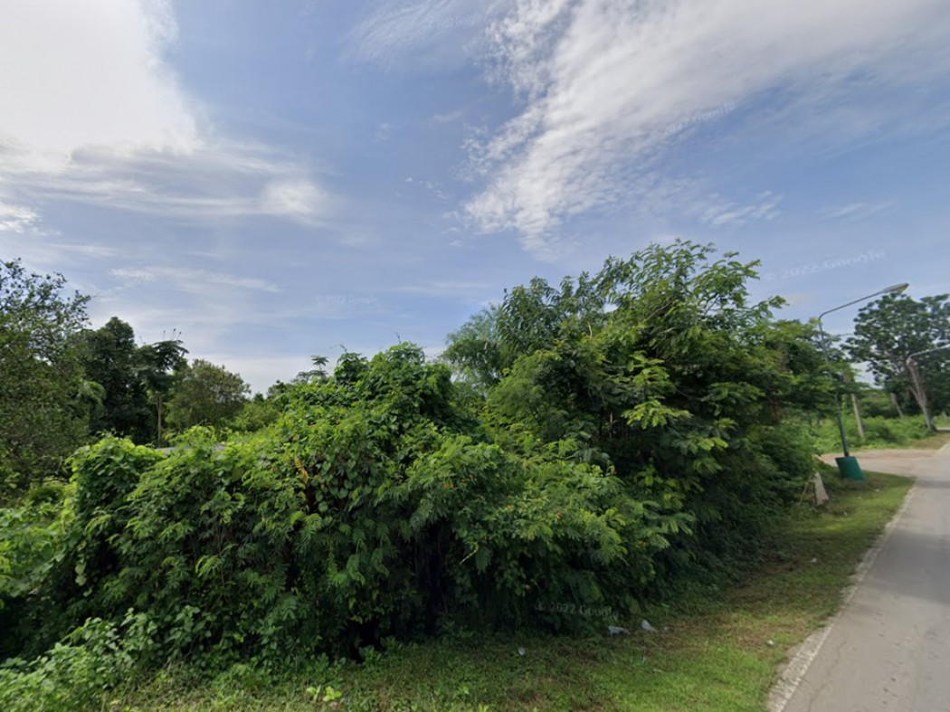 ขาย ที่ดิน คลองข่อย อำเภอโพธาราม ราชบุรี 4 ไร่ 2 งาน 96.4 ตร.วา เหมาะสำหรับผู้ลงทุนทำไร่พืชส่งออก ทำฟาร์มเลี้ยงสัตว์ แบ่งแปลงทำบ้านได้ รูปที่ 5