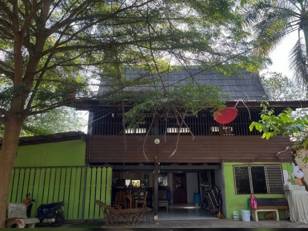 ขาย ที่ดิน พร้อมบ้าน คลองข่อย อำเภอโพธาราม ราชบุรี 2 งาน 82.6 ตร.วา เหมาะสำหรับผู้ลงทุนทำไร่พืชส่งออก ทำฟาร์มเลี้ยงสัตว์ แบ่งแปลงทำบ้านได้ รูปที่ 6