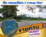 รูปย่อ ขาย ที่ดิน 2 งาน 57 ตร.วา หนองไม้แก่น พัทยา เหมาะสำหรับปลูกบ้าน รูปที่1