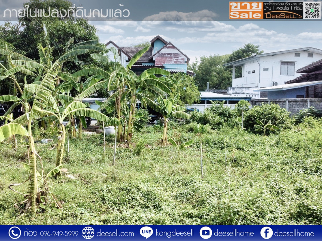 ขายที่ดินติดแม่น้ำป่าสัก แก่งคอย สระบุรี 85.5 ตร.ว. รูปที่ 4