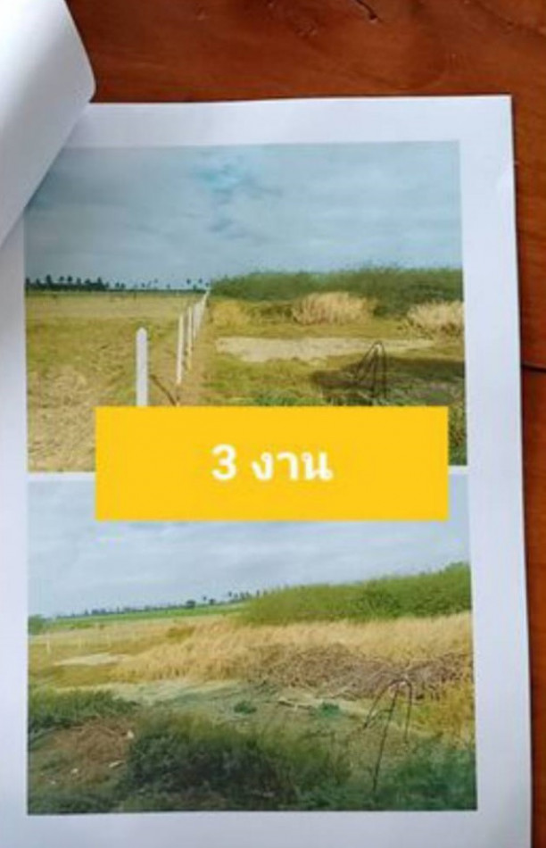 ขาย ที่ดิน 3 แปลง ใกล้ทะเล ใกล้หาดเจ้าสำราญ และหาดหัวตาล รูปที่ 5